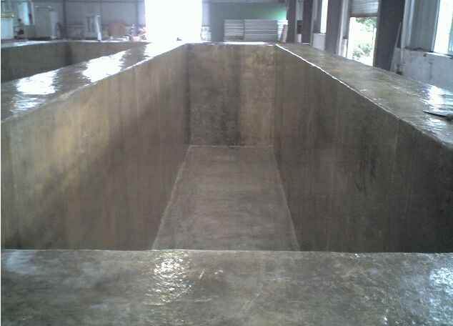 ������ƺ